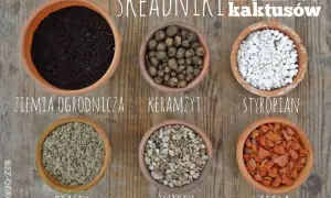 Sześć doniczek z różnymi składnikami do ziemi do kaktusów: ziemia ogrodnicza, keramzyt, styropian, piasek, żwirek, cegła.